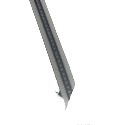 Close-up of a bird's beak with a blurred background