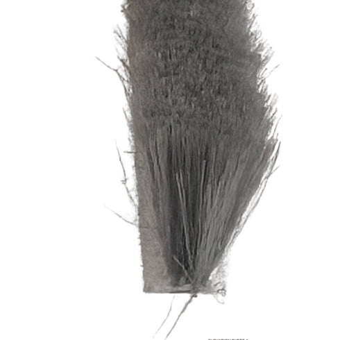 Close-up of a horse hair brush with bristles on a white background