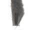 Close-up of a horse hair brush with bristles on a white background