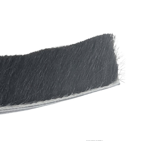 Close-up of a black brush strip on a white background