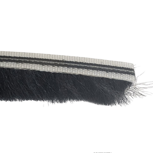 Strip of black bristle brush with a white background
