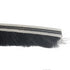 Strip of black bristle brush with a white background